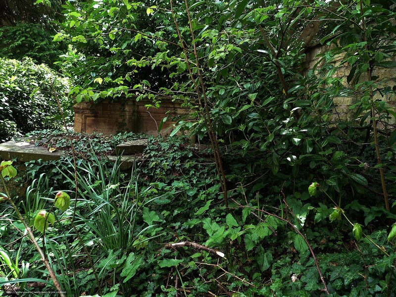 Overgrown Garden Ruins — Green