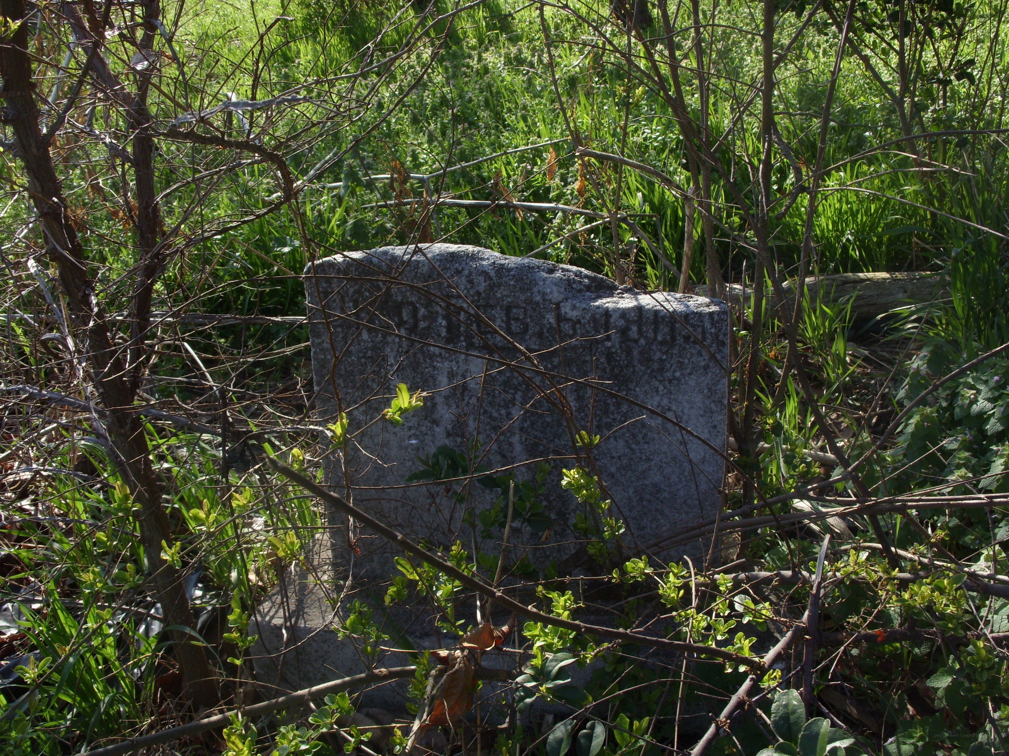 overgrown gravestone in a field
