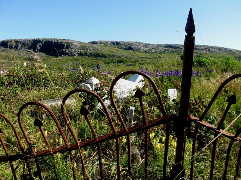 Overgrown Graveyard