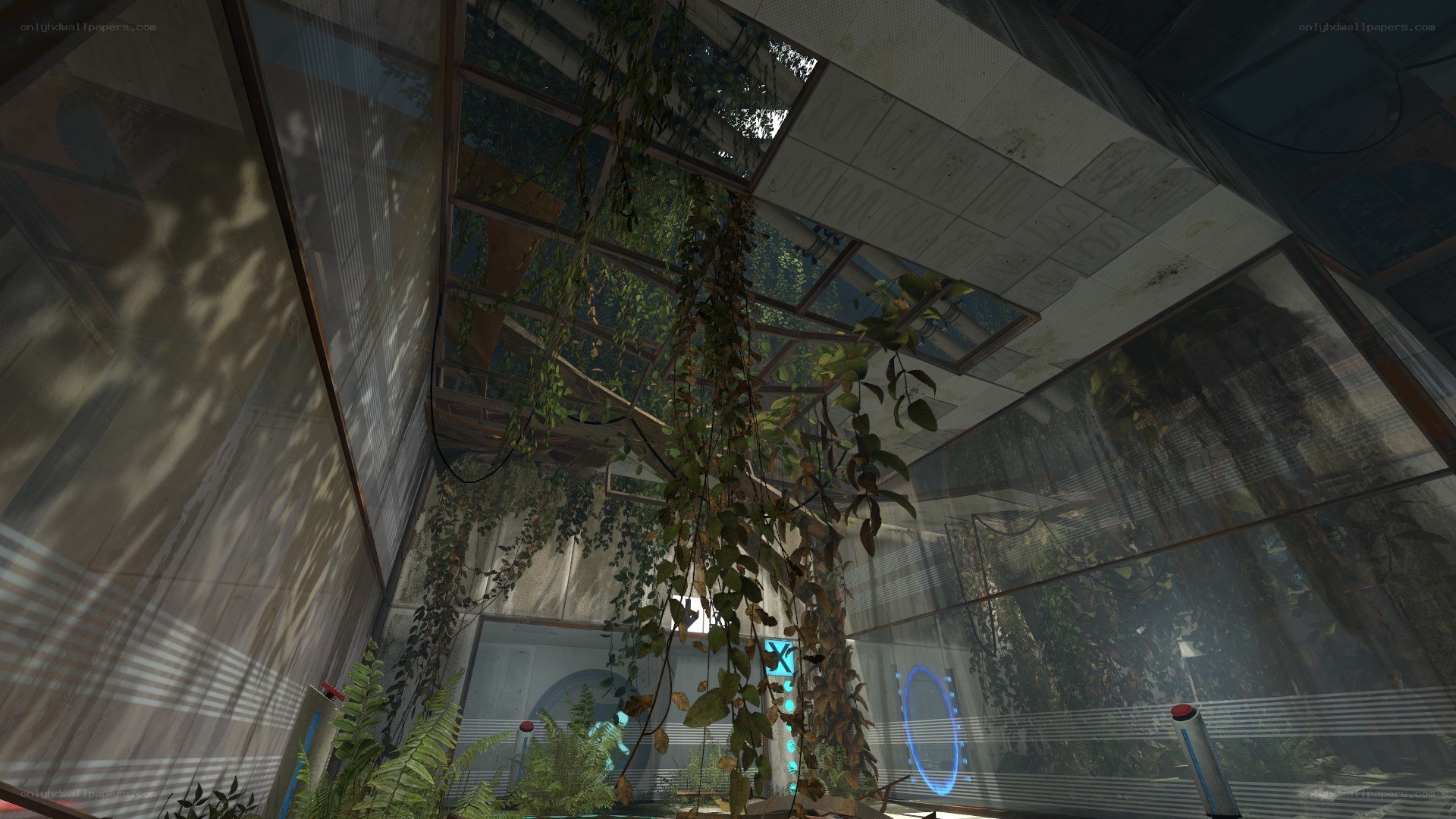 overgrown greenhouse interior