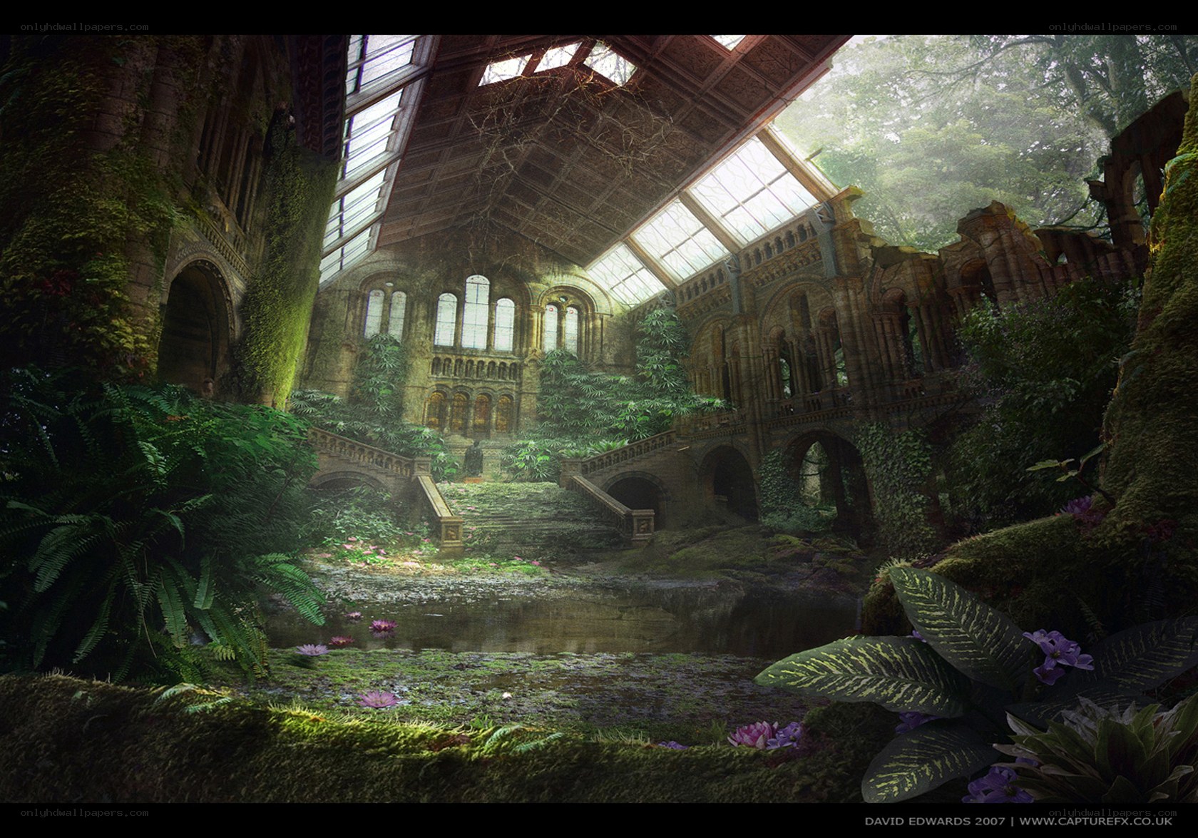 Overgrown greenhouse ruins