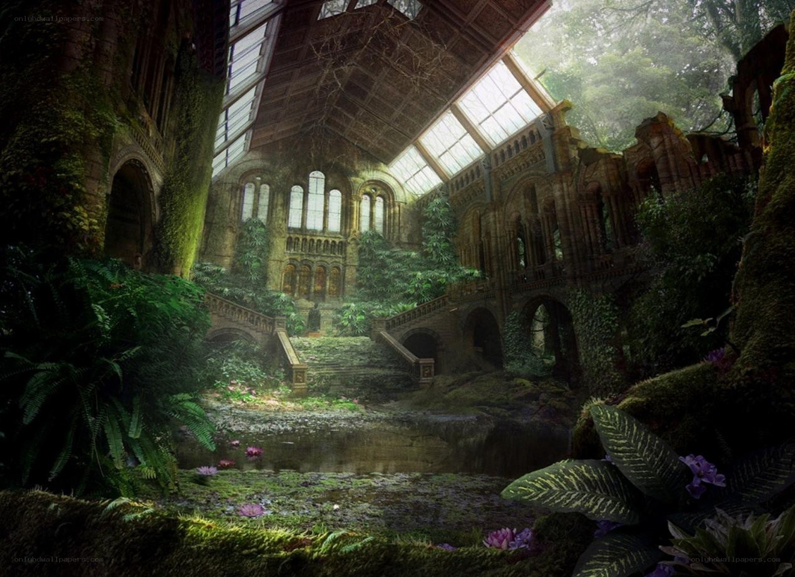 Overgrown greenhouse ruins