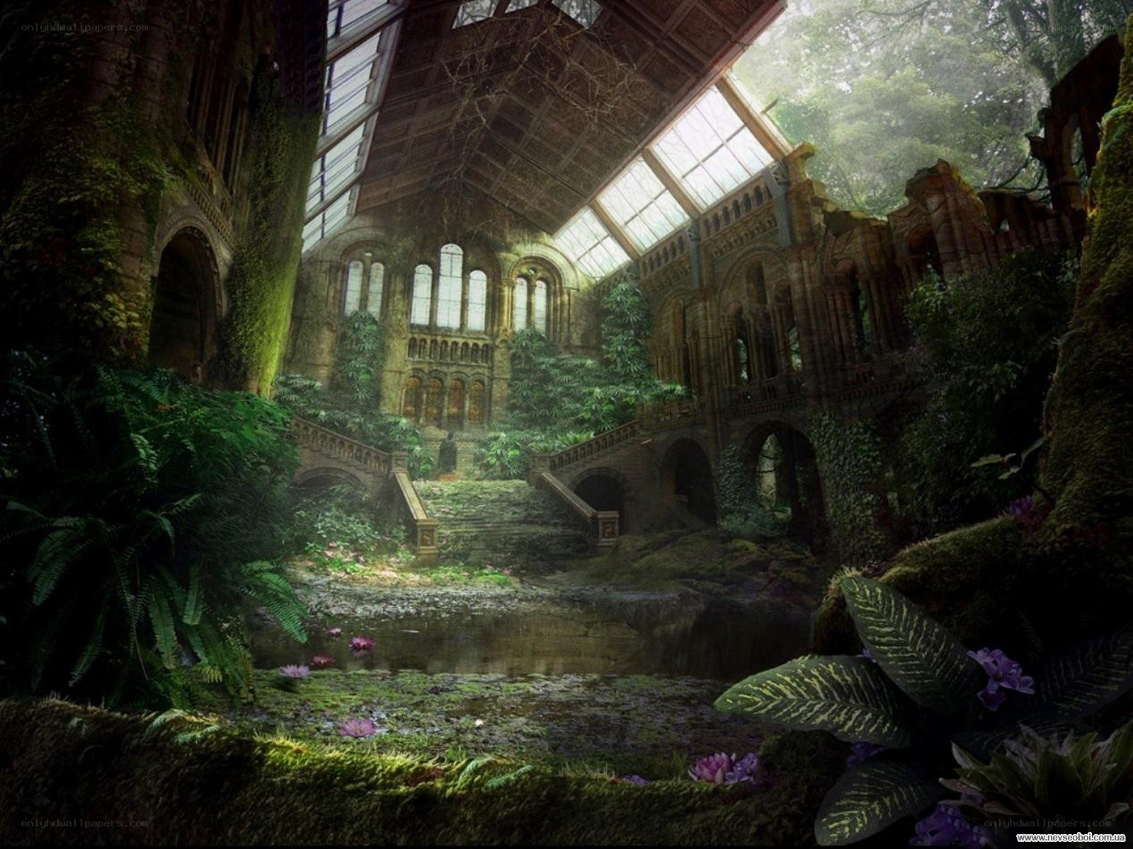 overgrown greenhouse ruins