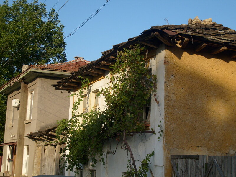 Overgrown House Facade