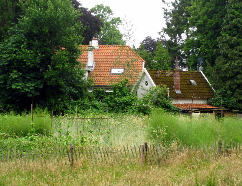 Overgrown House in Garden
