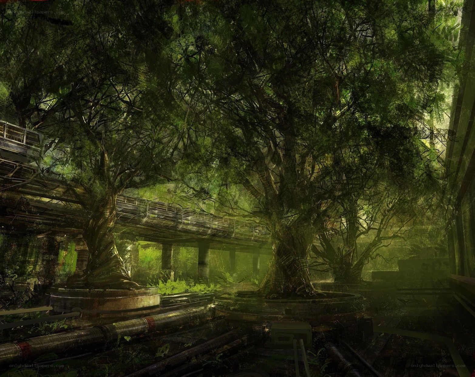 overgrown industrial ruins