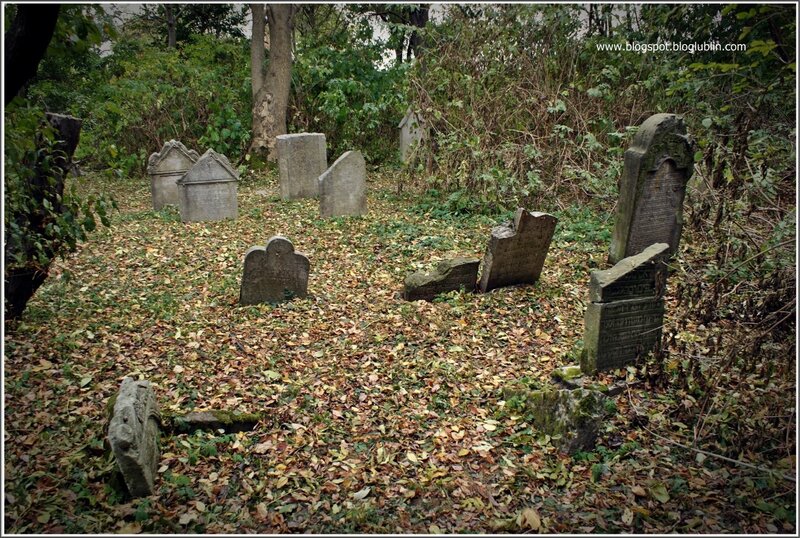 Overgrown Jewish cemetery
