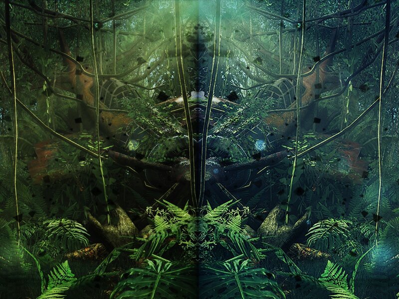 Overgrown Jungle Wreckage