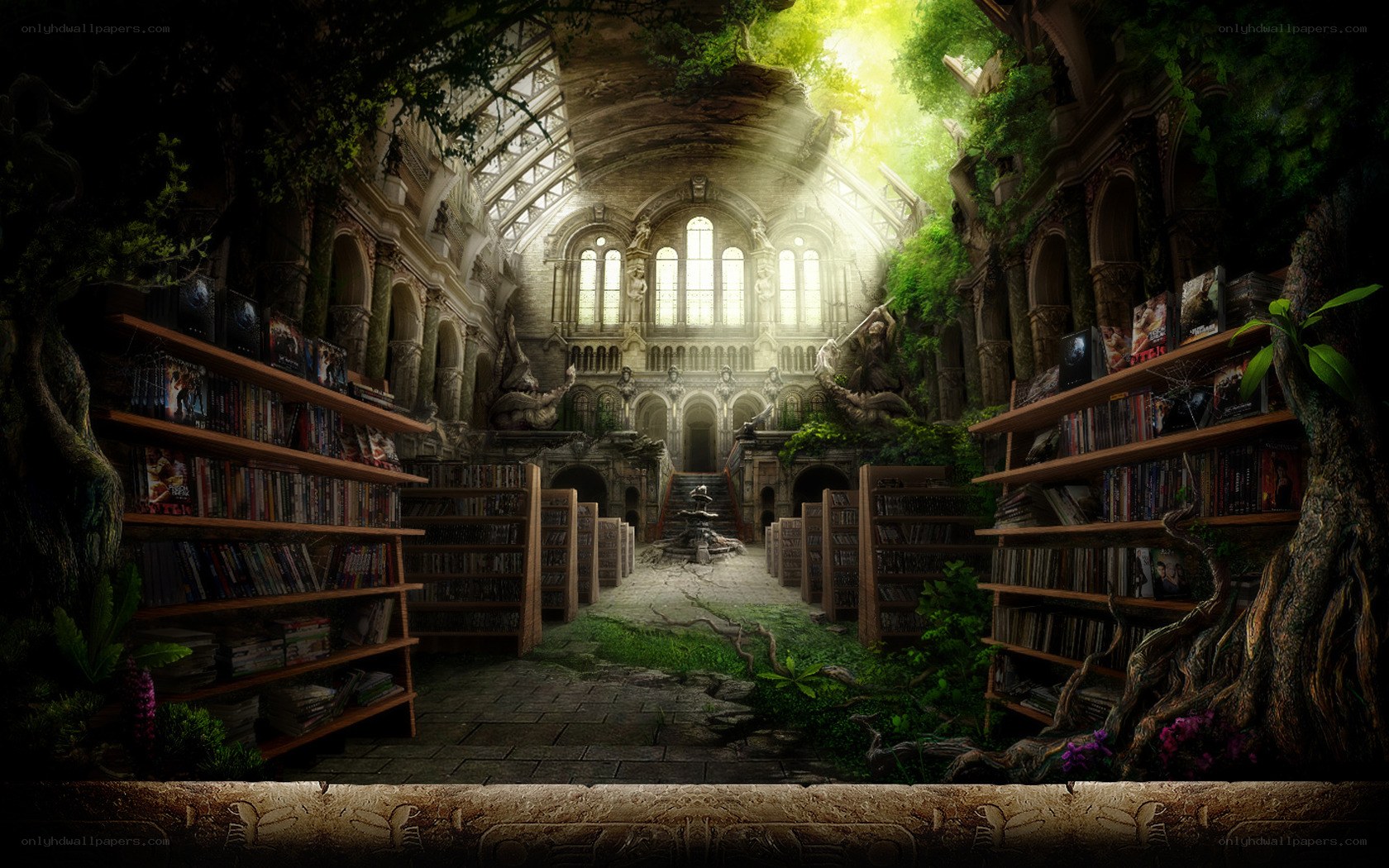 Overgrown library with sunlight