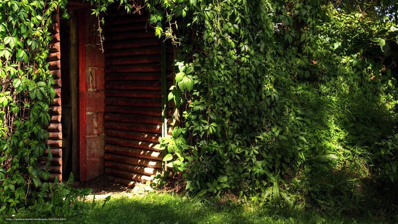 overgrown log cabin entrance