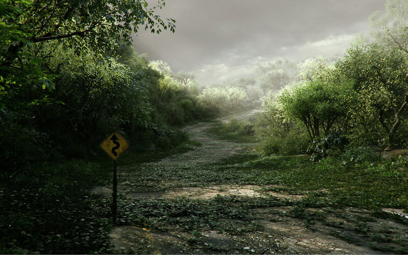 Overgrown Road in Forest