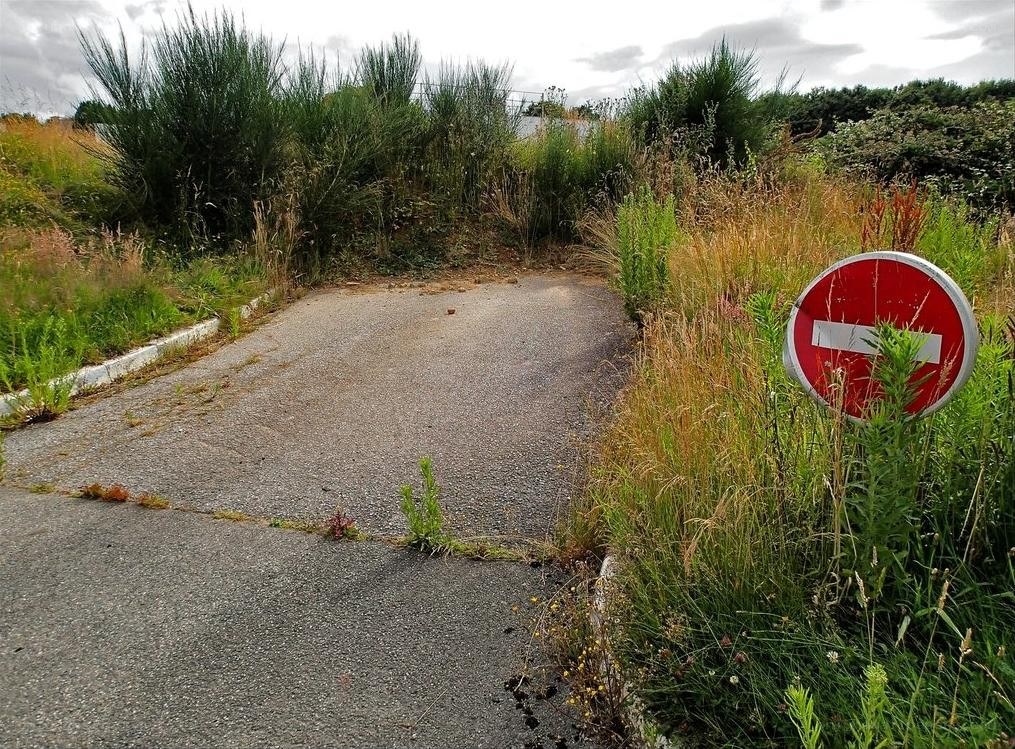 Overgrown road with no entry sign