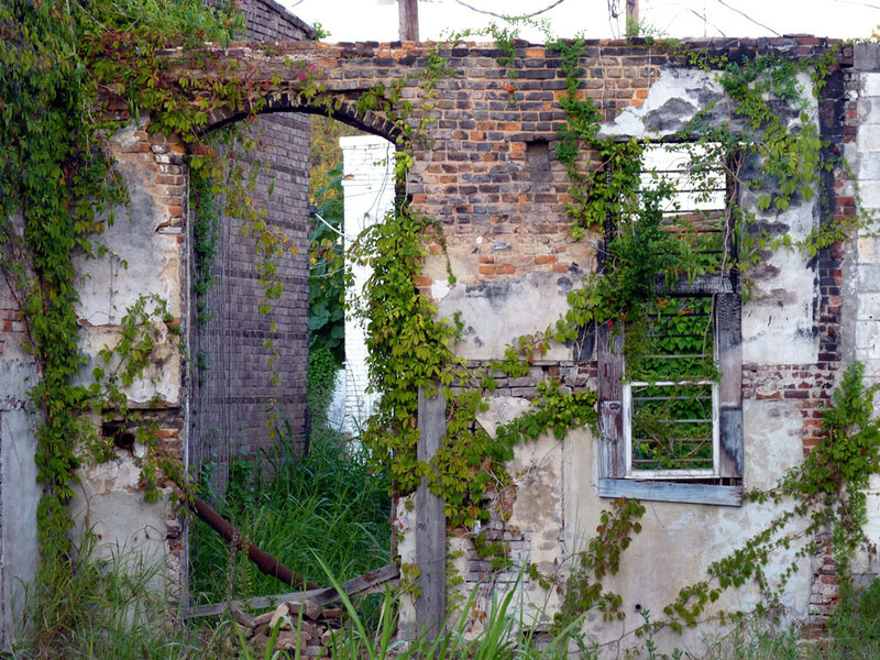 overgrown ruins of a brick building