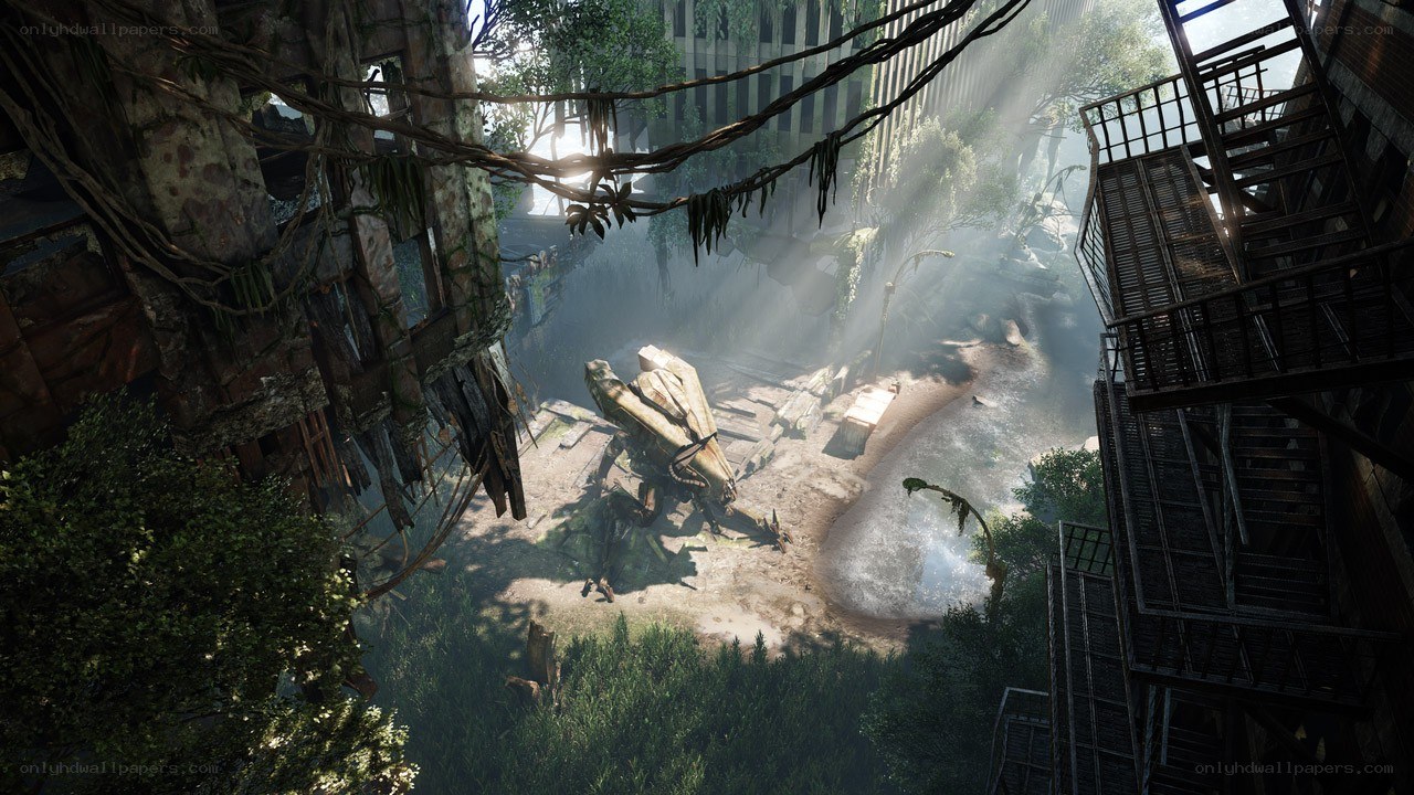 Overgrown Ruins with Sunlight