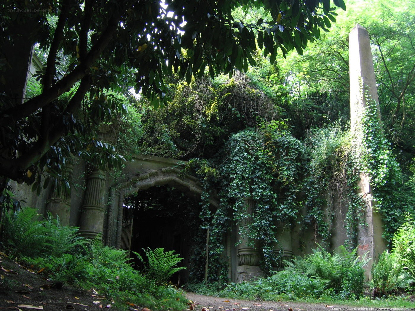 overgrown stone archway in garden