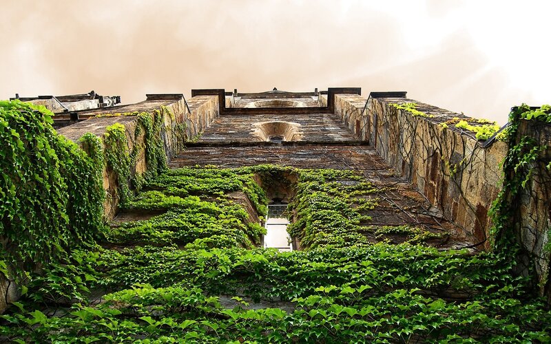 overgrown stone fortress