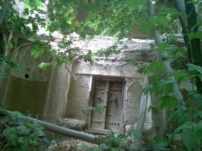 Overgrown stone structure in forest