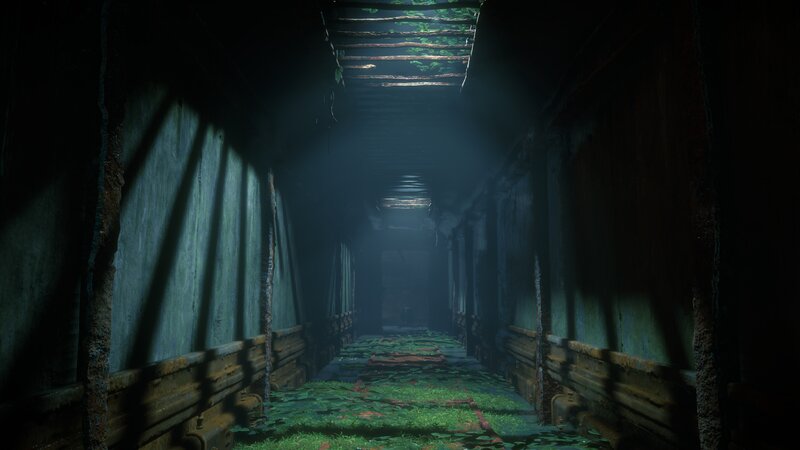 Overgrown Tunnel Corridor
