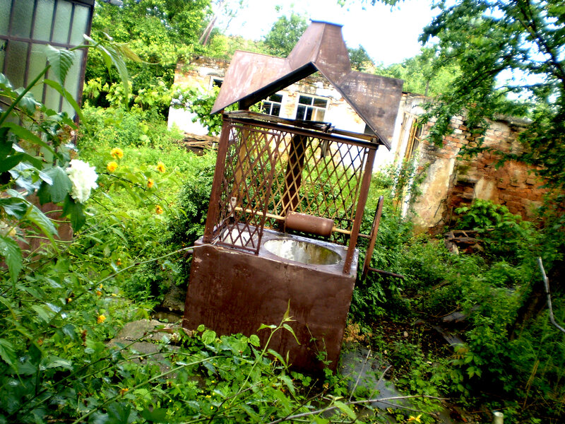 Overgrown well in a garden