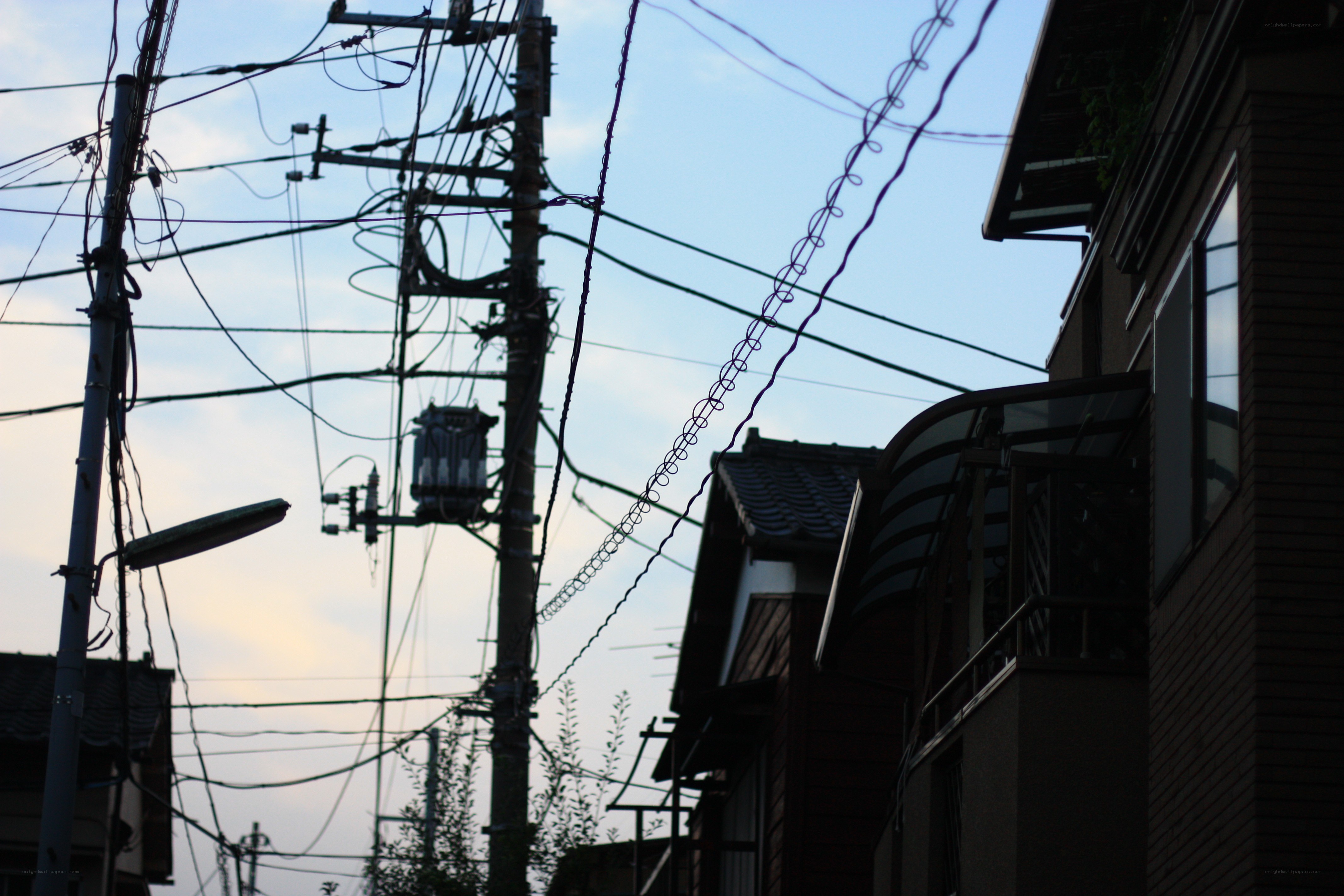Overhead power lines at dusk