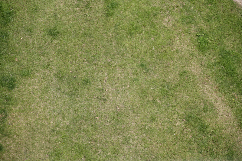 overhead view of grassy field
