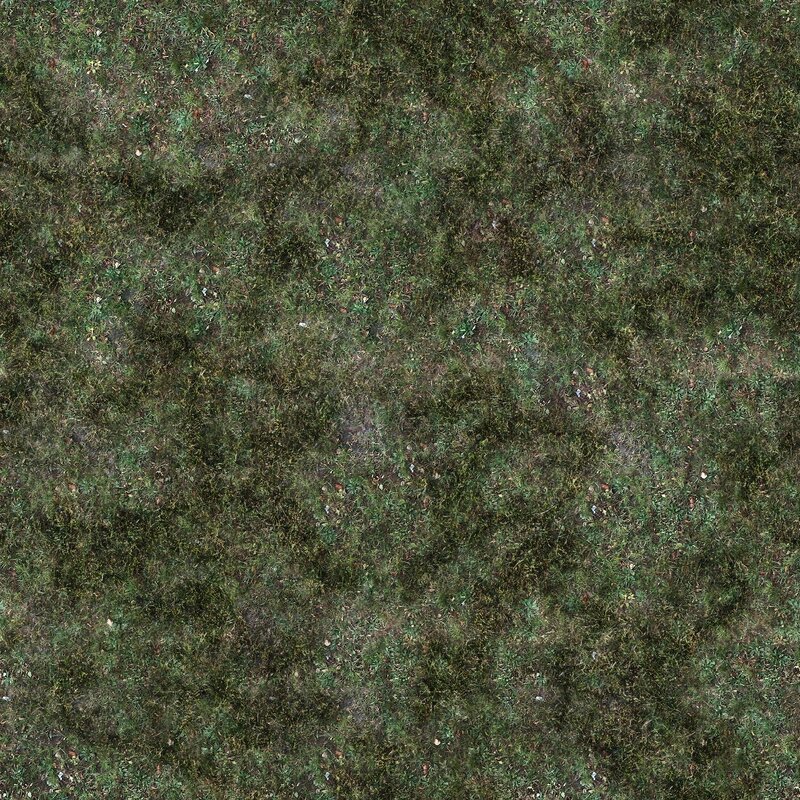 overhead view of grassy ground