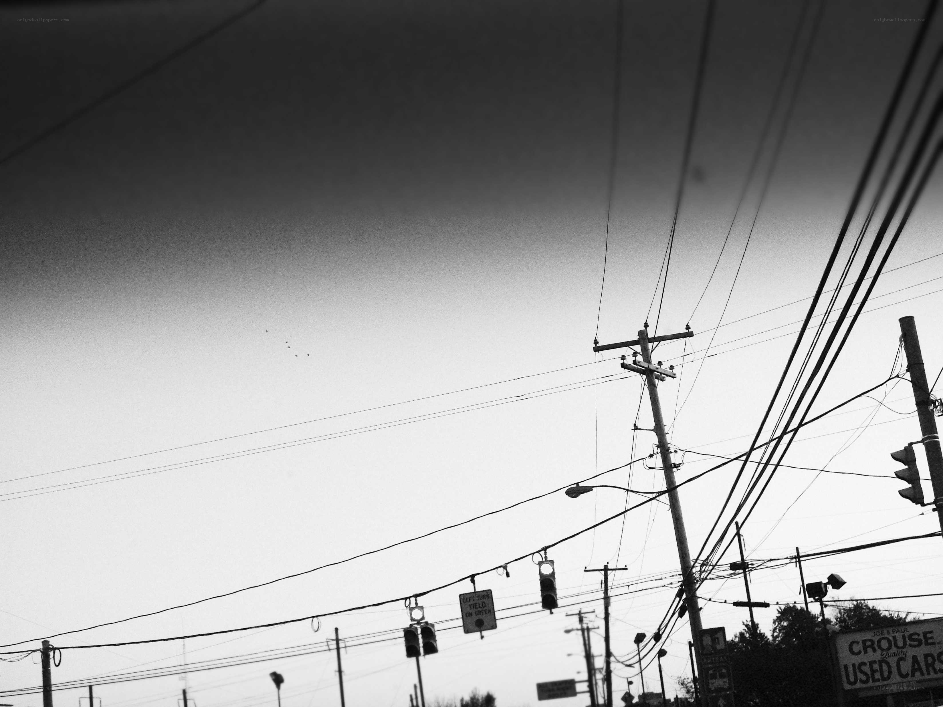 overhead wires and utility poles