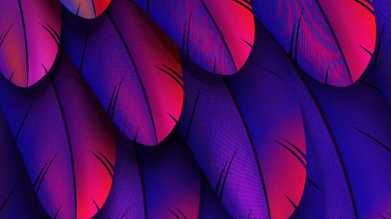 Overlapping Feathers