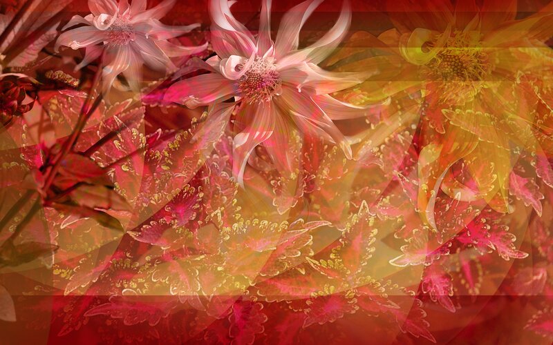 Overlapping Flowers and Leaves — Red