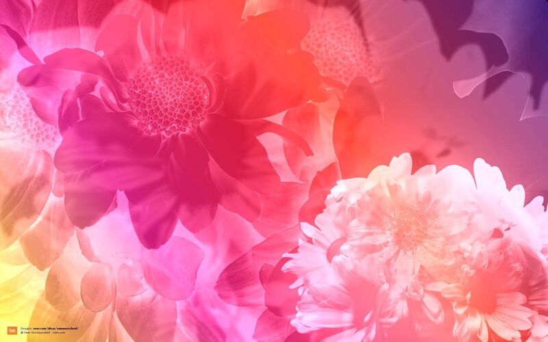 Overlapping Flowers — Pink
