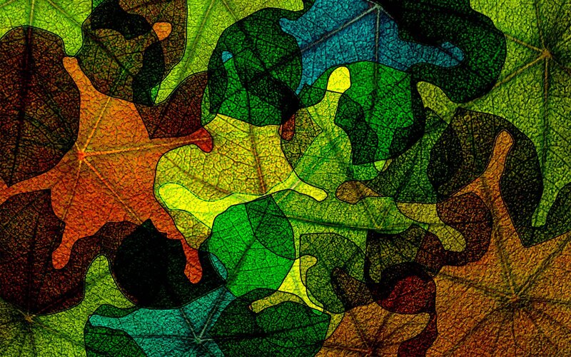 Overlapping Leaf Veins