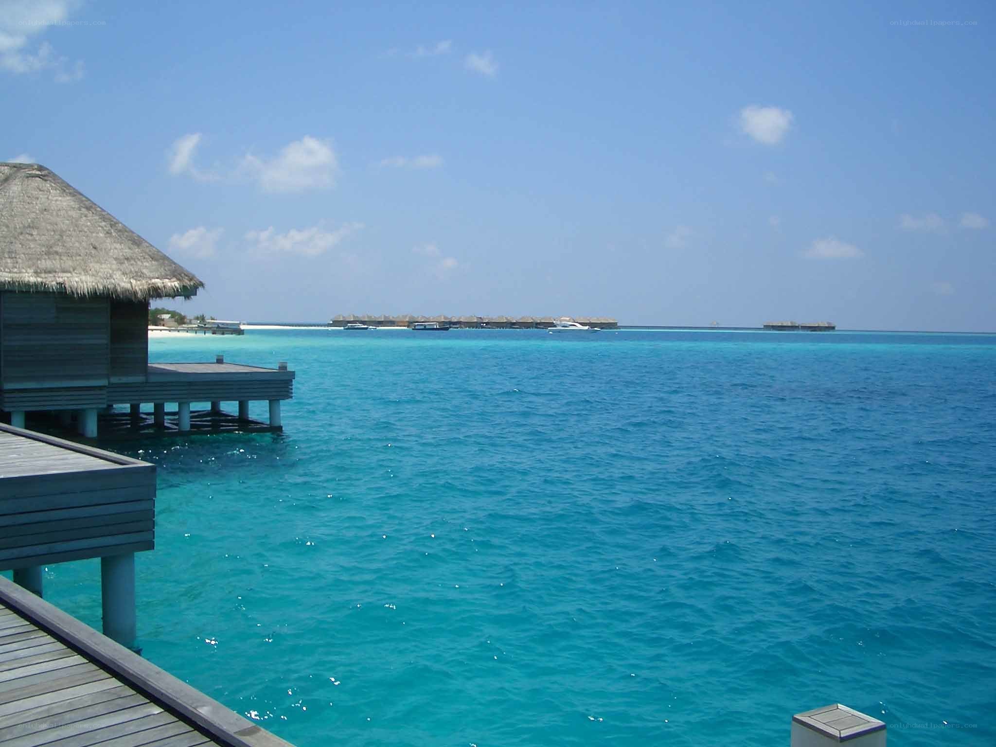 Overwater bungalow at resort