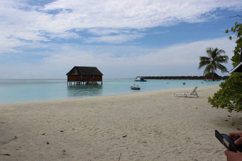 Overwater Bungalow — Blue, Serene, Afternoon, Photograph, Beach, Palm Tree