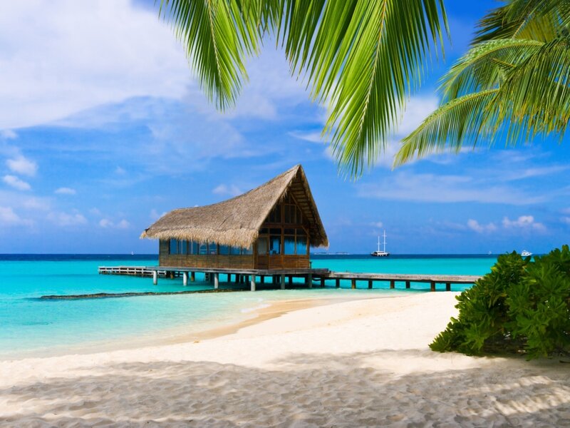 Overwater Bungalow — Blue, Serene, Afternoon, Photograph, Palm Tree, Beach, Ocean