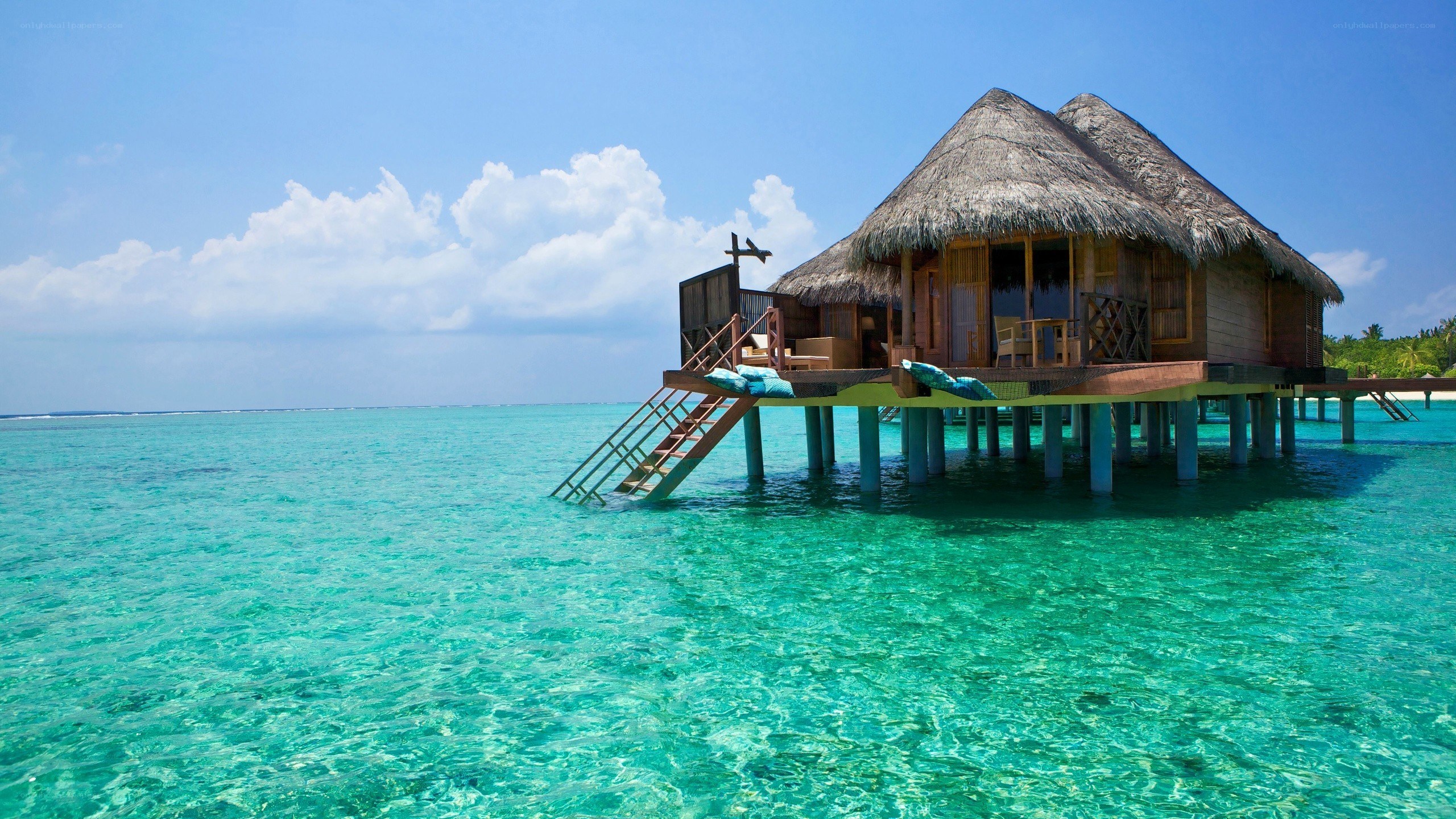 Overwater bungalow in tropical paradise