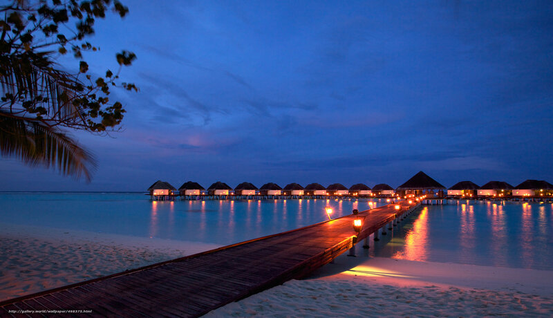 Overwater Bungalows at Dusk — Blue, Serene, Night, Photograph, Palm Tree