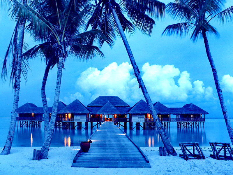 Overwater Bungalows at Dusk — Blue, Serene, Night, Photograph, Palm Trees, Wooden Pier