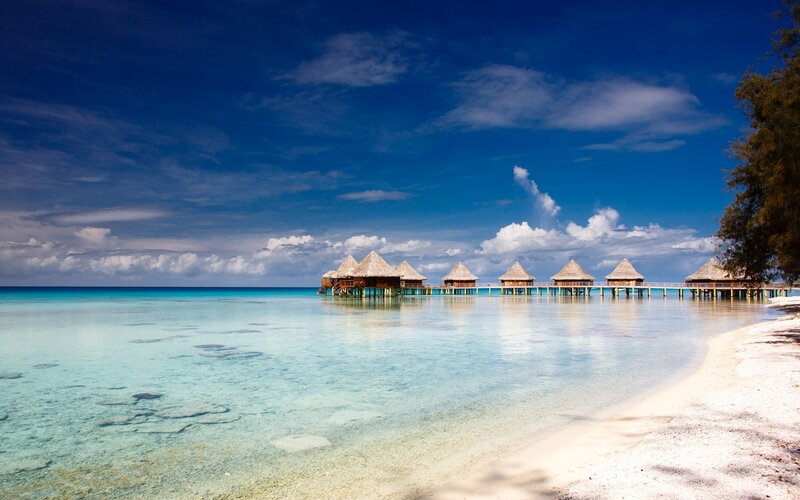 Overwater Bungalows — Blue, Serene, Afternoon, Photograph, Beach, Ocean, Trees