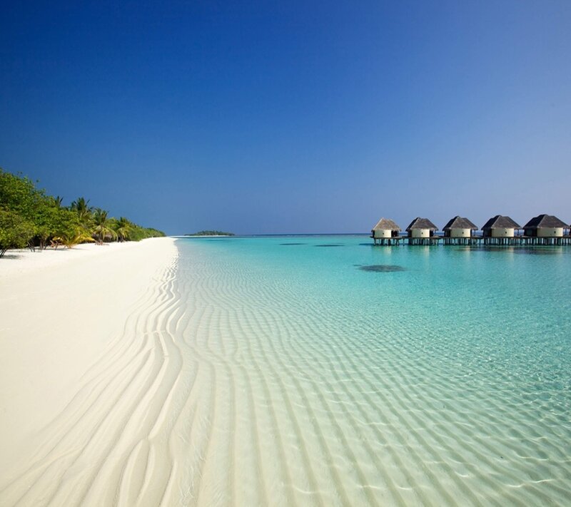 Overwater Bungalows — Blue, Serene, Afternoon, Photograph, Beach, Palm Trees