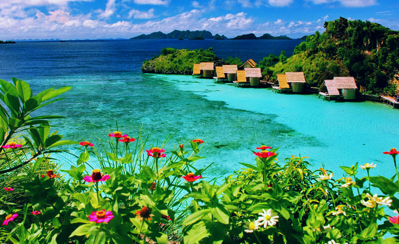 Overwater Bungalows — Blue, Serene, Afternoon, Photograph, Flowers