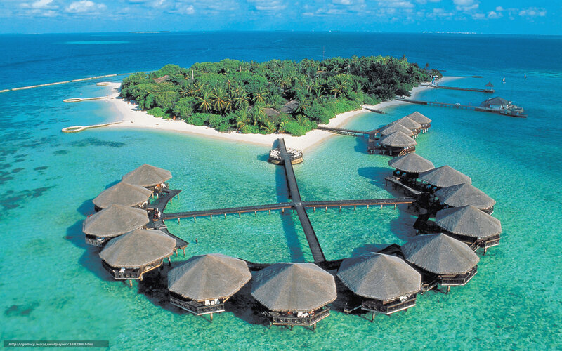 Overwater Bungalows — Blue, Serene, Afternoon, Photograph, Island, Palm Trees