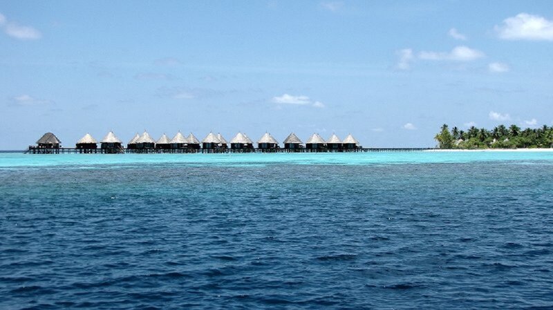 Overwater Bungalows — Blue, Serene, Afternoon, Photograph, Ocean, Palm Trees