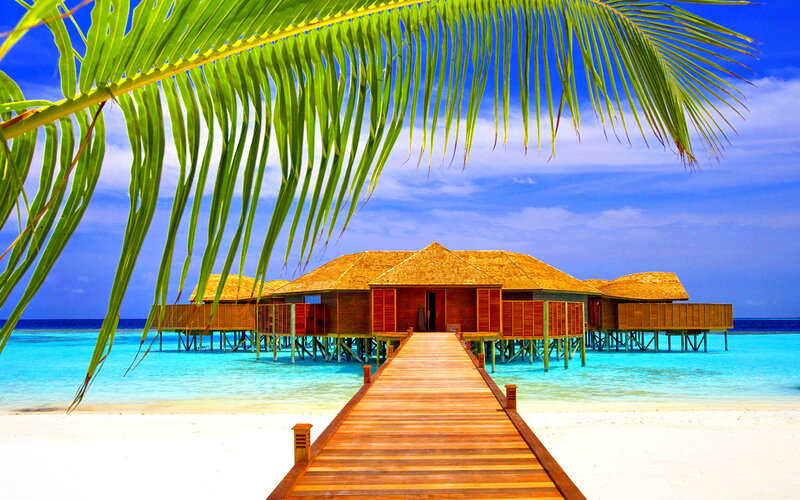 Overwater Bungalows — Blue, Serene, Afternoon, Photograph, Palm Frond, Beach