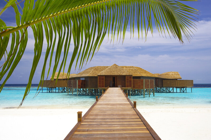 Overwater Bungalows — Blue, Serene, Afternoon, Photograph, Palm Frond