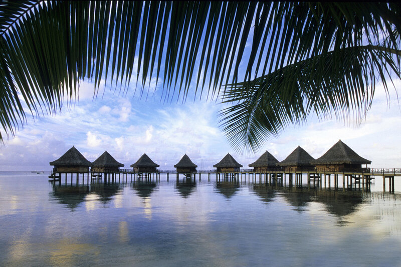 Overwater Bungalows — Blue, Serene, Afternoon, Photograph, Palm Fronds