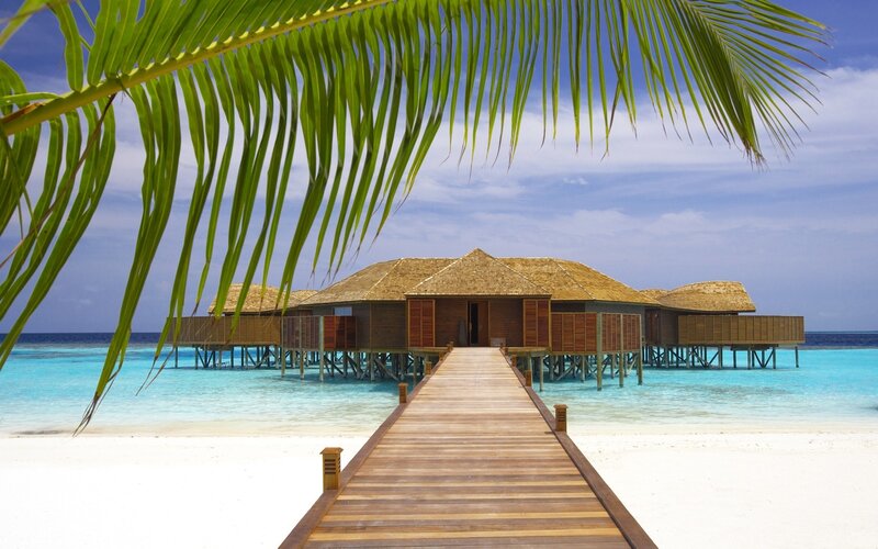 Overwater Bungalows — Blue, Serene, Afternoon, Photograph, Palm Fronds, Wooden Pier, Ocean