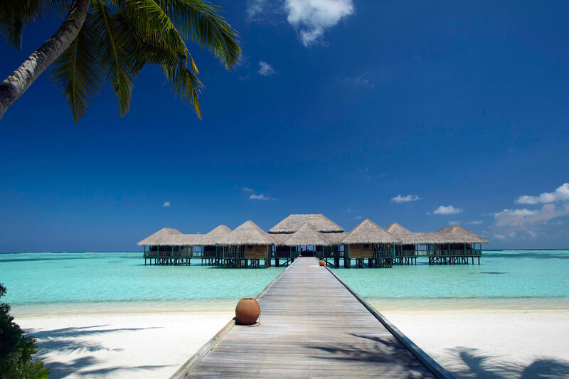Overwater Bungalows — Blue, Serene, Afternoon, Photograph, Palm Tree, Beach, Dock