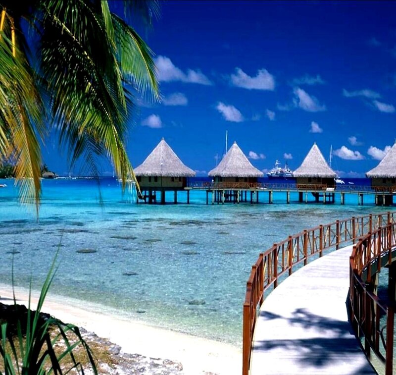 Overwater Bungalows — Blue, Serene, Afternoon, Photograph, Palm Tree, Beach, Walkway
