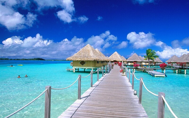 Overwater Bungalows — Blue, Serene, Afternoon, Photograph, Palm Tree, Dock, Ocean