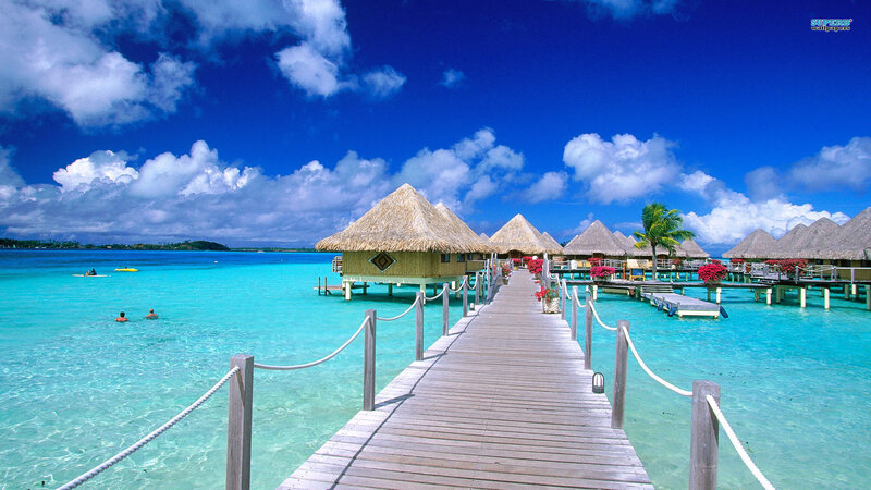 Overwater Bungalows — Blue, Serene, Afternoon, Photograph, Palm Tree, Dock, People